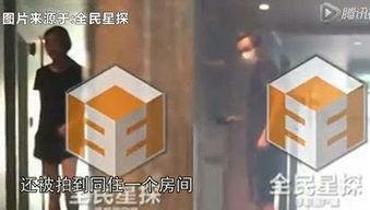 最新黑花所有爆料在哪看  第1张